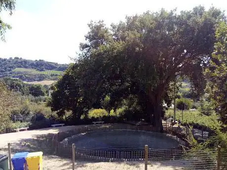 Photo de Bagno della Regina
