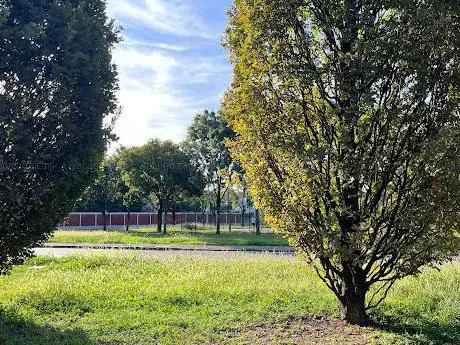 Stadio Seguro