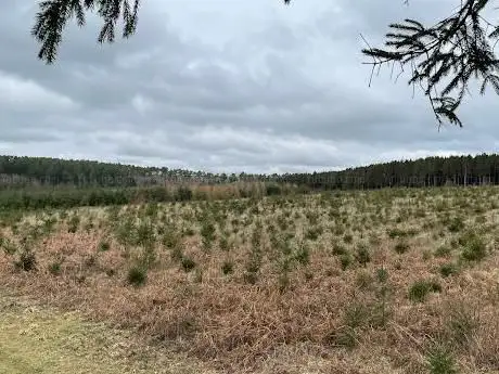 Photo de West Dean Woods Nature Reserve Sussex Wildlife Trust