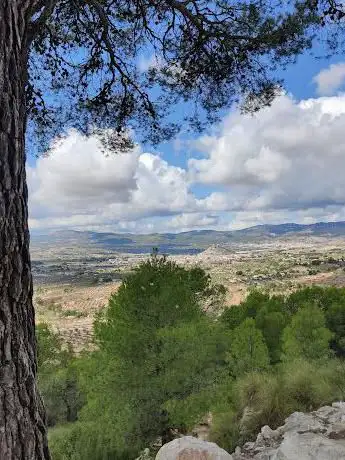 Photo de Pi del Litero