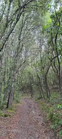 Sentiero di Santa Giuliana