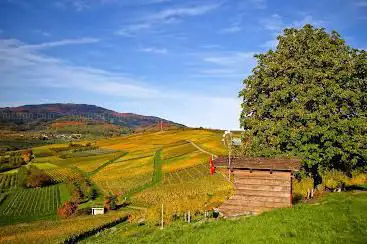 Heidel Hüsli