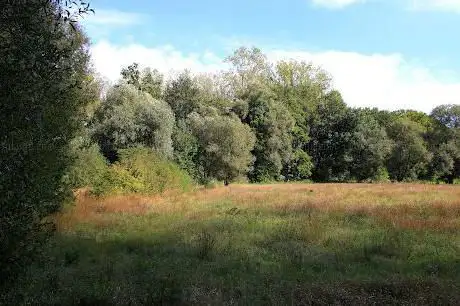 Peulisbossen