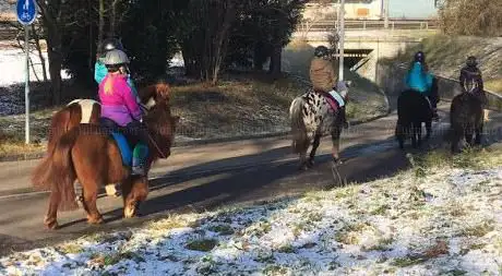 Ponyclub Hoppi Galoppi
