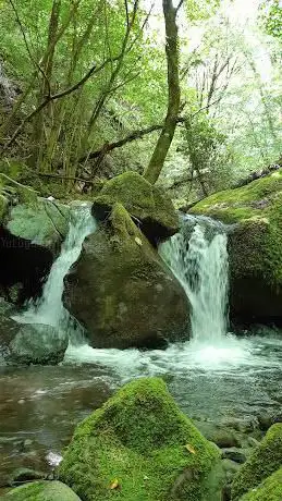 Photo de Foresta di Sant'Antonio