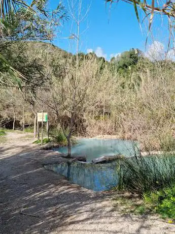 Photo de Baños de la Hedionda de Casares - Espacio Natural