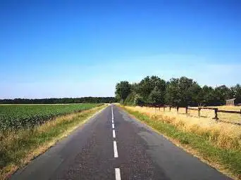 The Thouet, woods, vineyards
