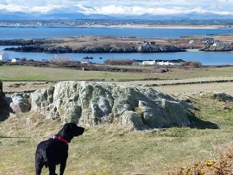 Rhoscolyn National Coastwatch Institution