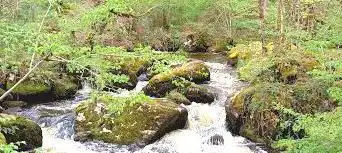 Photo de Site des Cascades du Doustre