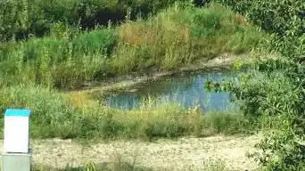 Photo de Mare Aux Grenouilles