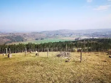Photo de Réserve Naturelle du Mont des Pins