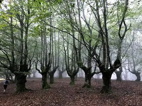 Photo de Albertia'ko Kobazuloa