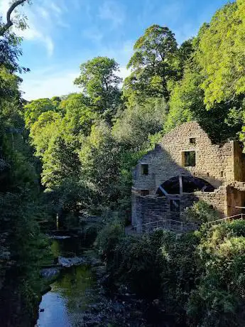 Photo de Jesmond Dene
