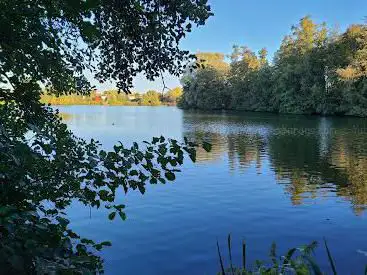 Photo de L'ile Robinson