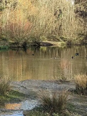 Photo de Broadfield Brook Wetlands