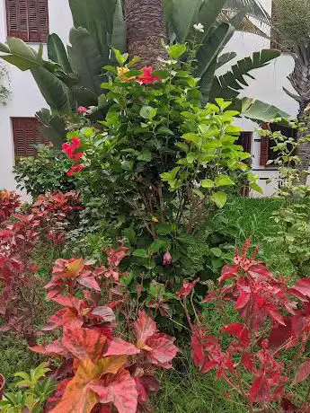 Photo de Casa de la Palma