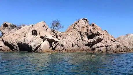 Sea Bounty Tourist Services