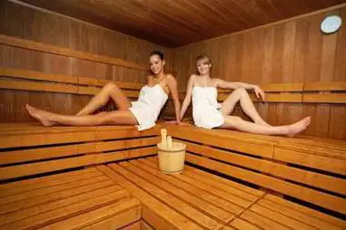 Photo de Sauna The Robin