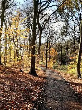 Photo de Upper Don Trail - Oughtibridge