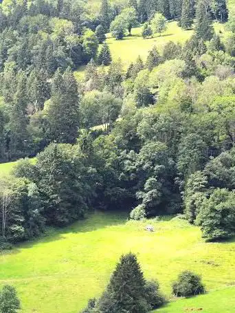 Belvédère du Bief Parou