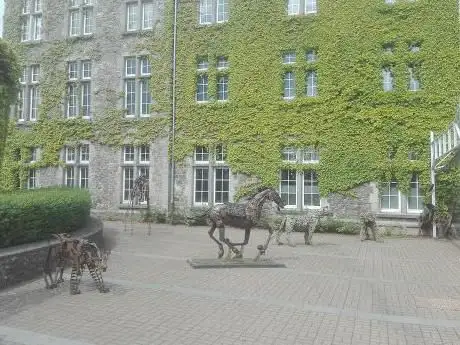 Piconrue - Musée de la Grande Ardenne