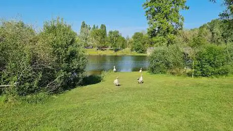 Photo de Plan d'eau