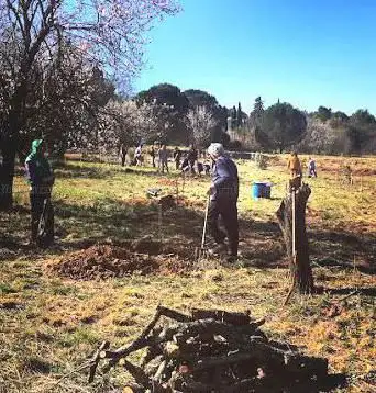 Photo de Oasis de Béziers - Natura-lien