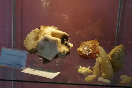 Photo de Museo di Storia Naturale