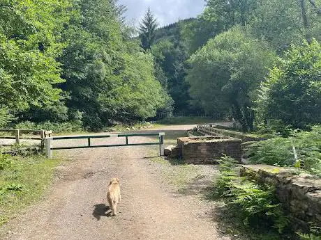 Gwyddon Valley