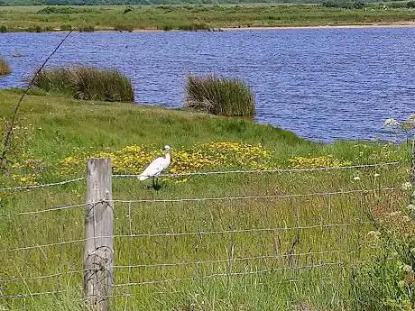 Photo de Keyhaven Marshes