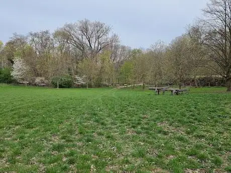 Mollekensveld