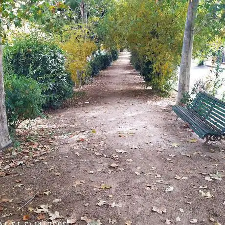 Photo de Calle de La Reina