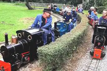 Little Steam Train of Forest
