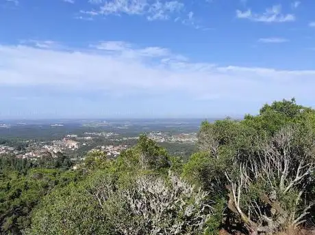 Photo de Buçaco National Forest