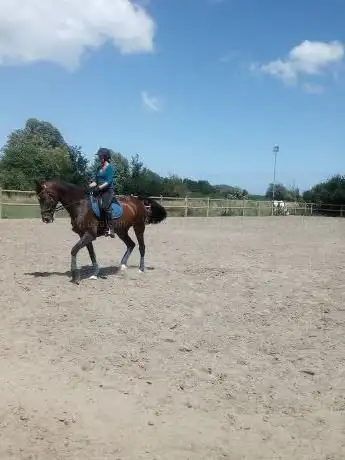Manege Vagevuurhoeve