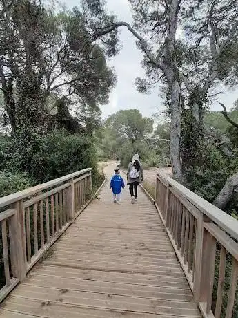 Photo de Estany Gola de Puchol