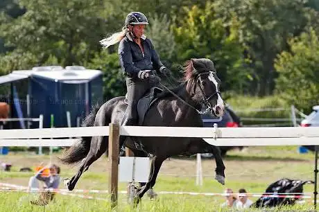 Photo de Vera Weber Reitanlage Birch