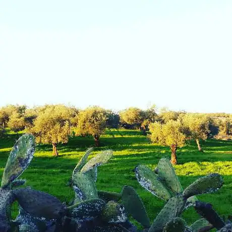 Photo de Dehesa La Calera