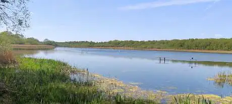 Photo de Boultham Mere Nature Reserve