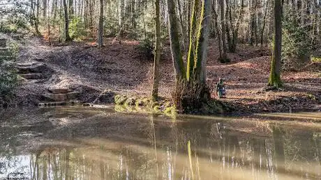 Mare aux Chevreuils