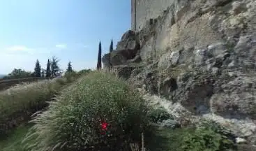 Photo de Jardins des allées Montmorency