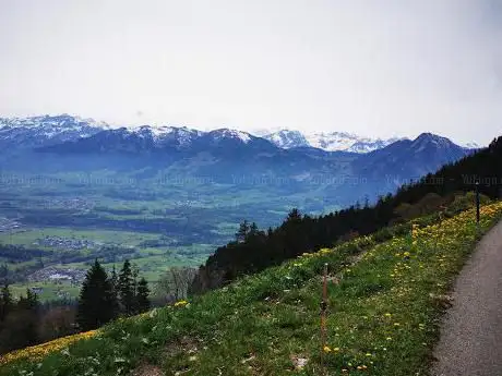 Denneten