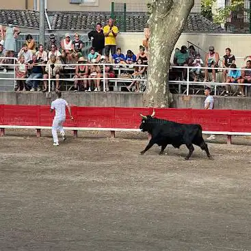 Photo de Club Taurin Lou Sanglié