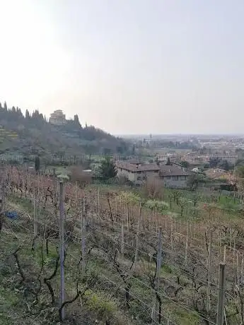 Photo de Belvedere