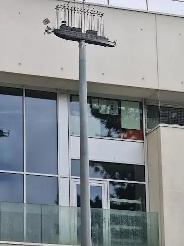 L'albatros survolant l'île Lincoln