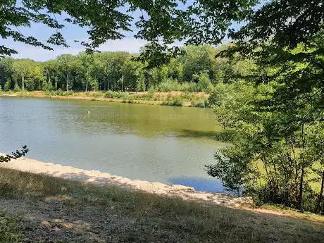 Photo de Lac de Saulxures Les Bulgneville
