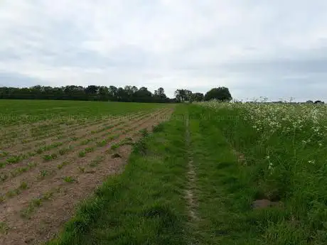 Photo de The Grove and Abbey Grove Woodland