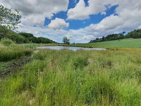 Margrove Ponds Nature Reserve
