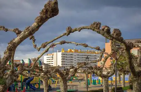 Photo de Parque Lorenzo Cagigas