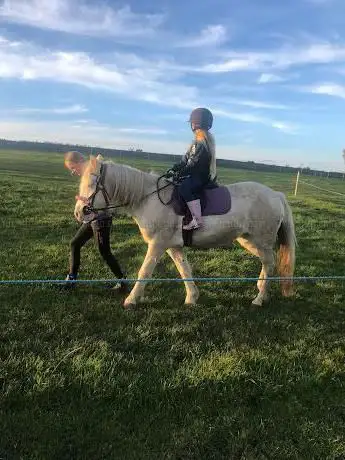 Holymoor Riding School